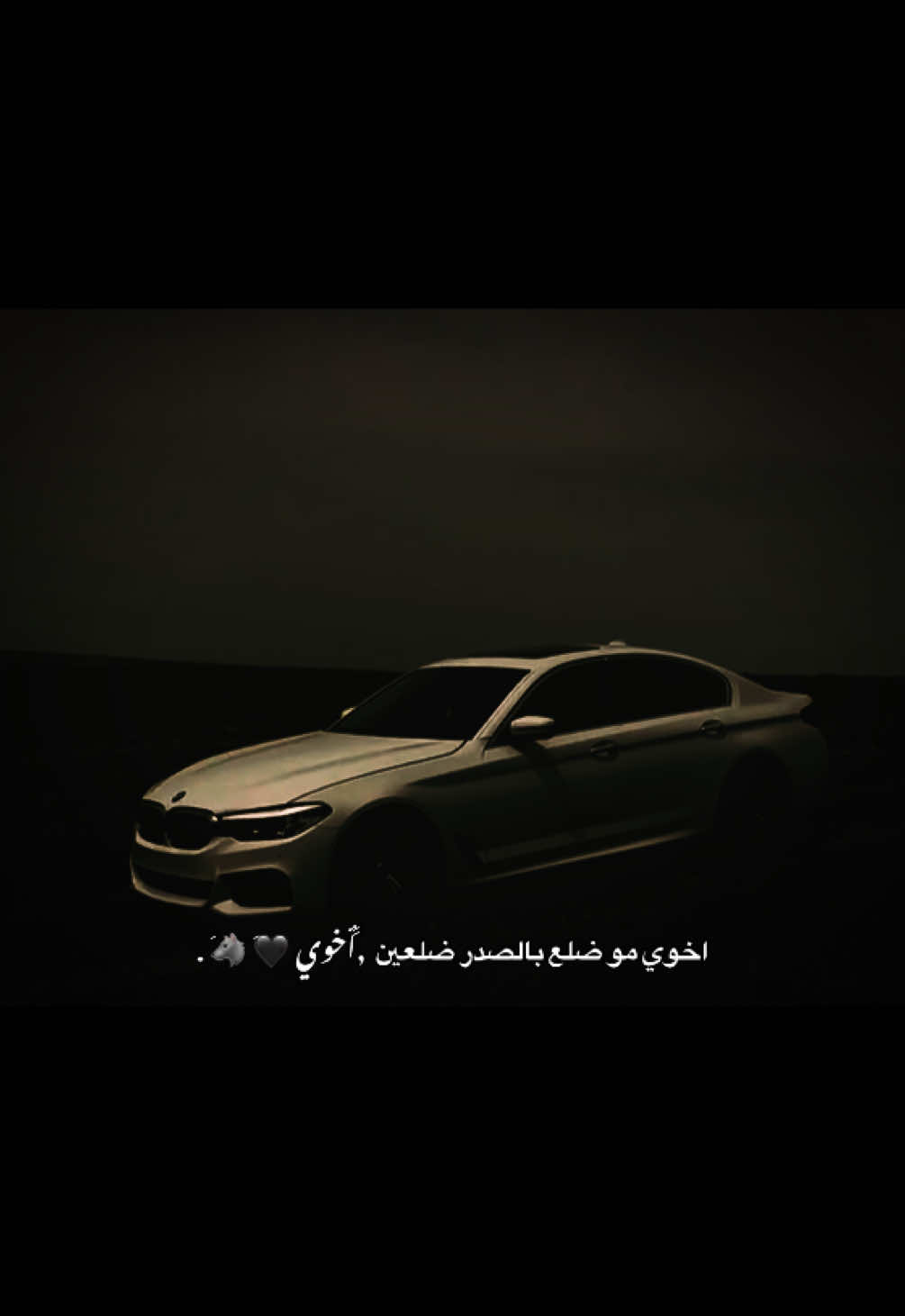 اخوي مو ضلع بالصدر ضلعين  ,ََأخوي 🖤َ 🐺َ .#مارس  . #fvpシ 