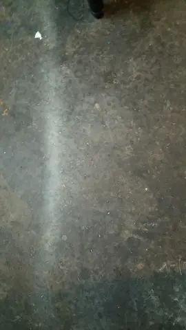 #CapCut 