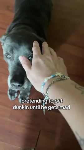 this ended in tragedy #foryou #dunkindadawg #foryoupage #fyp 