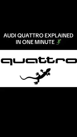 audi didn’t invent awd but they definitely perfected it 👌🏼 #audi #quattro 