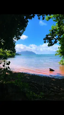 Ocean views worth the trip #oceanviewsworththetrip #hawaii #ocean #beach
