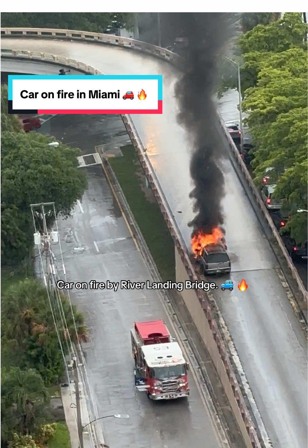 So many cars honking!! 🚗 🚙 🔈 #miami #onlyindade 