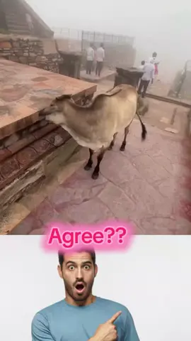 Do You Agree?? #india #indiatiktok #viralvideos #goviralviral #foryoupage❤️❤️ @indiatiktokofficel @$@@B🤠 