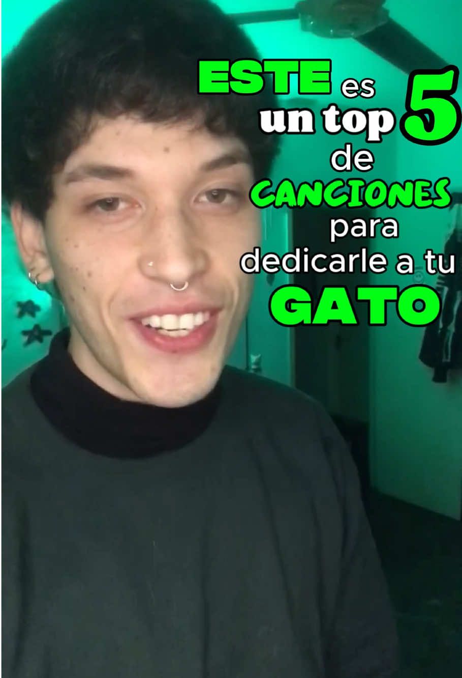 ojo con el reto del final 🤯☠️ #gatos #gato #fyp #humor #español 