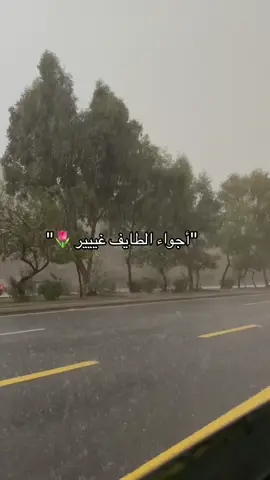 🌷 #الطائف #اكسبلور #المطر #الطايف_الان_اكسبلور #الامطار 