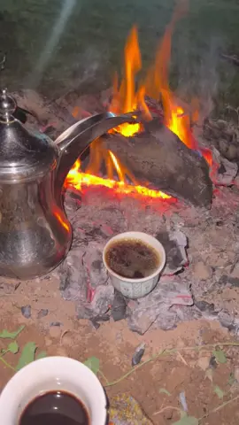 #اكسبلورexplore #شمر #العراق🇮🇶 