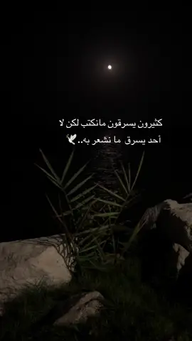 #محمد_عبده #explore #foryou 