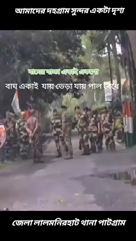 বাঘ একাই  যায় ভেড়া যায় পাল বেধে