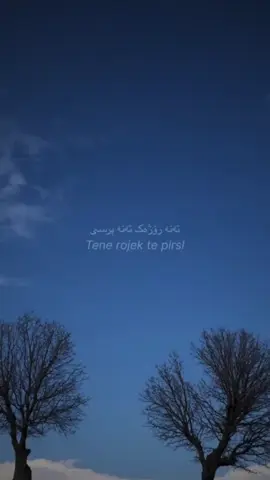 #🖤🥀🖤 