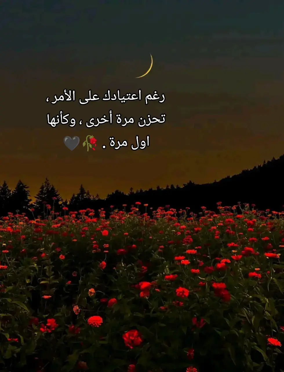 رغم اعتيادك على الأمر ، تحزن مرة أخرى ، وكأنها اول مرة . 🥀🖤
