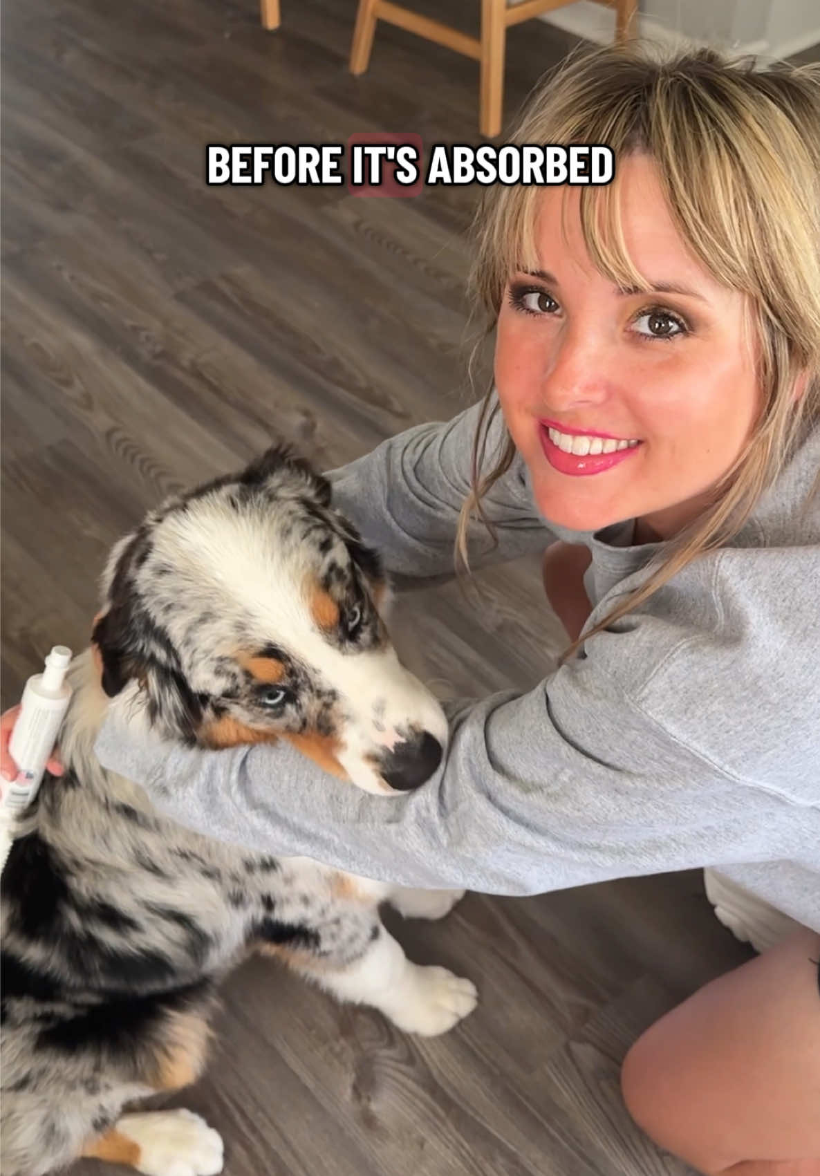 Keep this on hand for peace of mind 🐾 #PetSafety #EmergencyPetCare #Dog #Cat #PetParent 