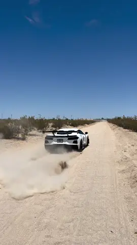 What’s a little dirt gonna hurt?! @masonswhip having a little fun in the dirt with his #C8 #Corvette #fyp #fypシ #viral 