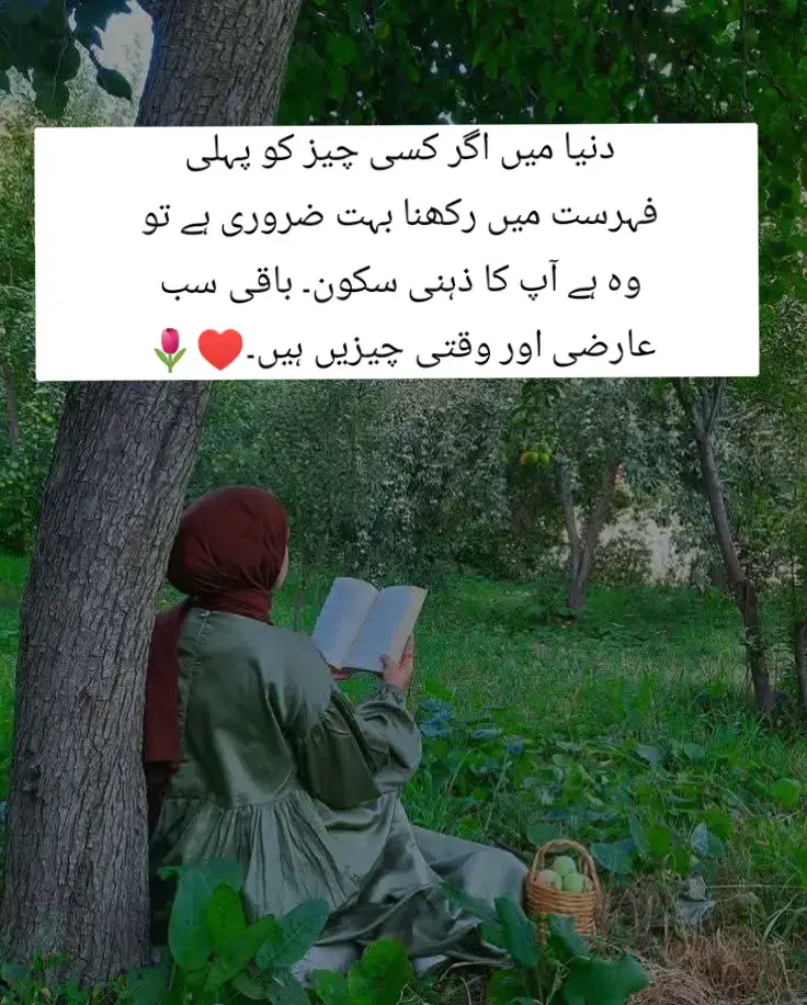 دنیا میں اگر کسی چیز کو پہلی فہرست میں رکھنا بہت ضروری ہے تو وہ ہے آپ کا ذہنی سکون۔ باقی سب عارضی اور وقتی چیزیں ہیں۔♥️🌷 #foryoupageシ  #tiktok  #poetrystatus 