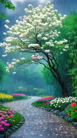 #rain #naturebeauty #videobackground #relaxing #foryou 