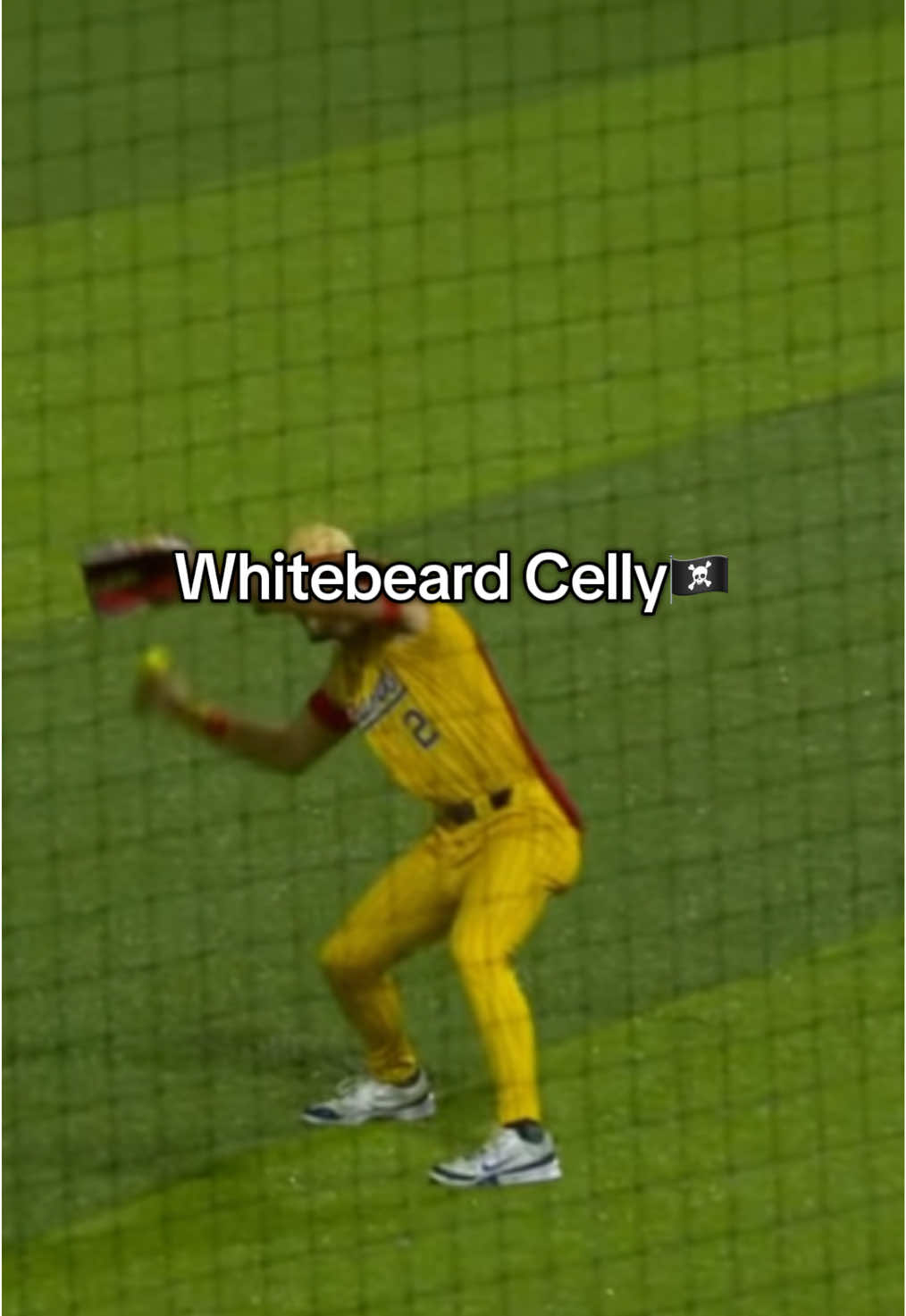 Whitebeard Tremor Celly🏴‍☠️ #onepiece #celebration #whitebeard #baseball #fyp 