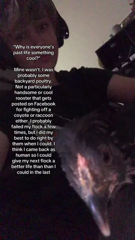 I don’t know how to properly word it, but I connect with my birds on a spiritual level. I keep getting told I’m just personifying them, but my alleged personification hasn’t been wrong yet. #fypシ #xyzbca #chicken 