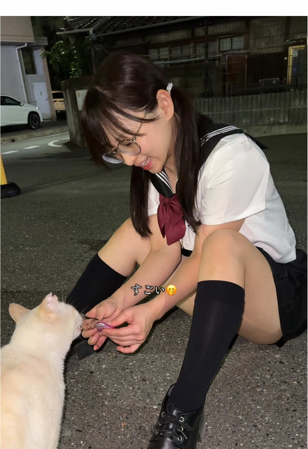 いつもたくさんの癒しをくれるにゃんこ達🐈💓 生まれ変わるなら猫一択😊 #猫 #地域猫 