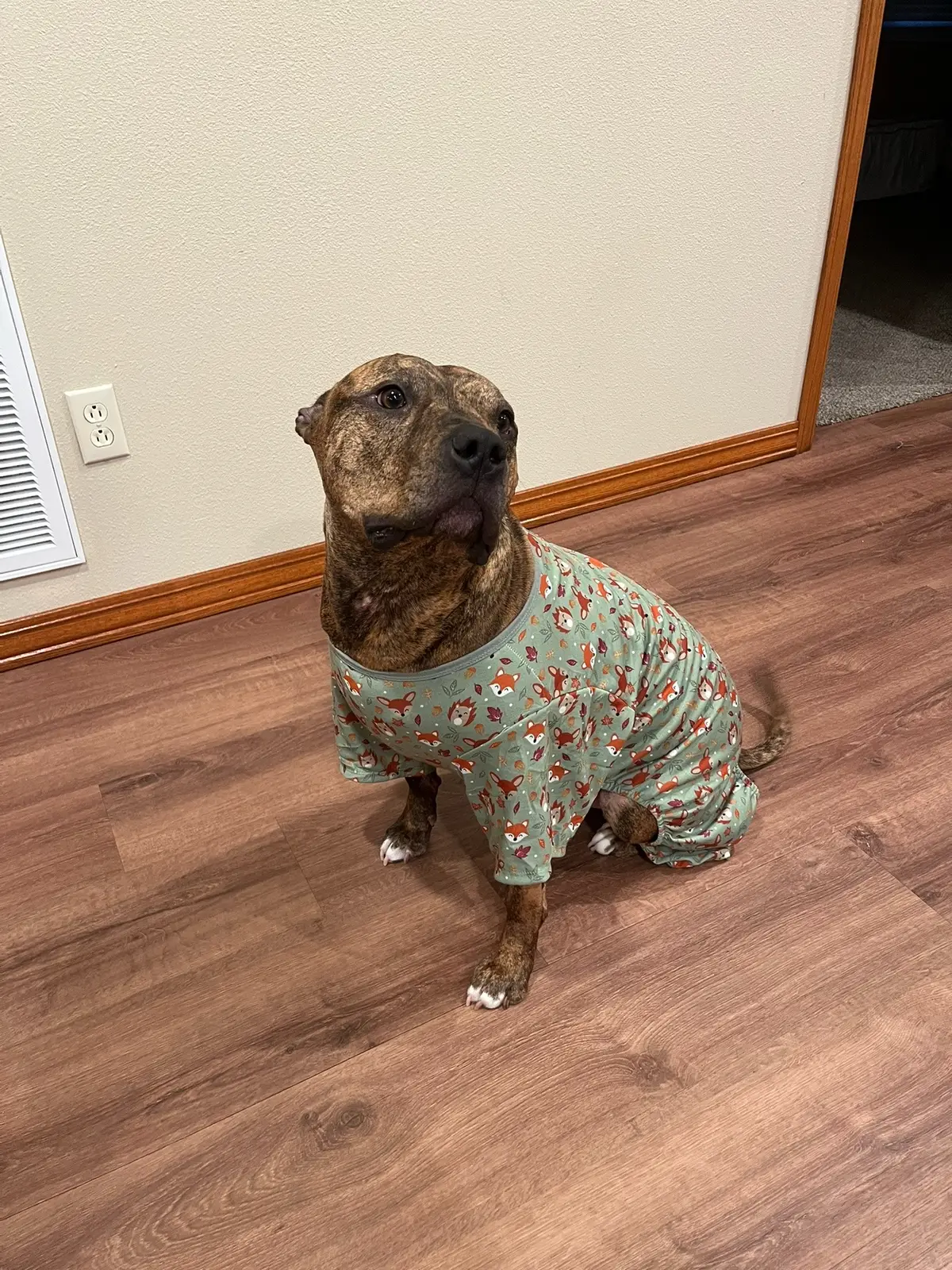 Jammies on 