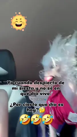 #😂😂😂😂😂 
