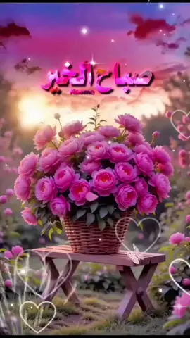 #صباح_الخير 