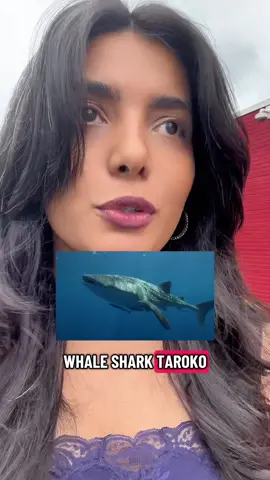RIP Taroko 🐋 