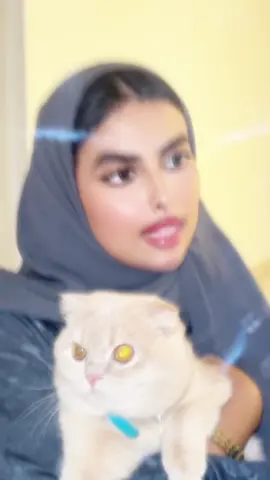 ليموني والجوال مب راضيين علي 😠