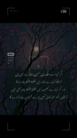 #creatorsearchinsights 🌒🫀#foryou #viral #tiktok #foryoupage 