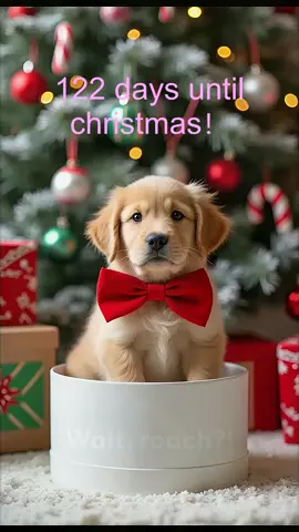 Me sitting waiting forChristmas while everyoneElse is enjoying summer 🎄🎅🏼☃️#christmas #christmascountdown #christmastiktok #xmas #december 