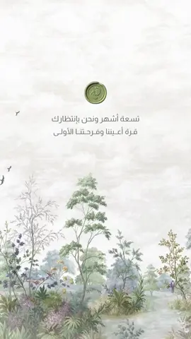 بشارة مولود ٨٦٢