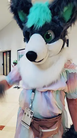 FD TIK TOKS!!! tehee! this is cannon behavior btw loll @CooperWolfy  #furry #furrydelphia2025 #fyp #trending #besties 