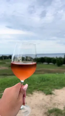 This is the life  #wine #traversecity #michigan #wineries #views 