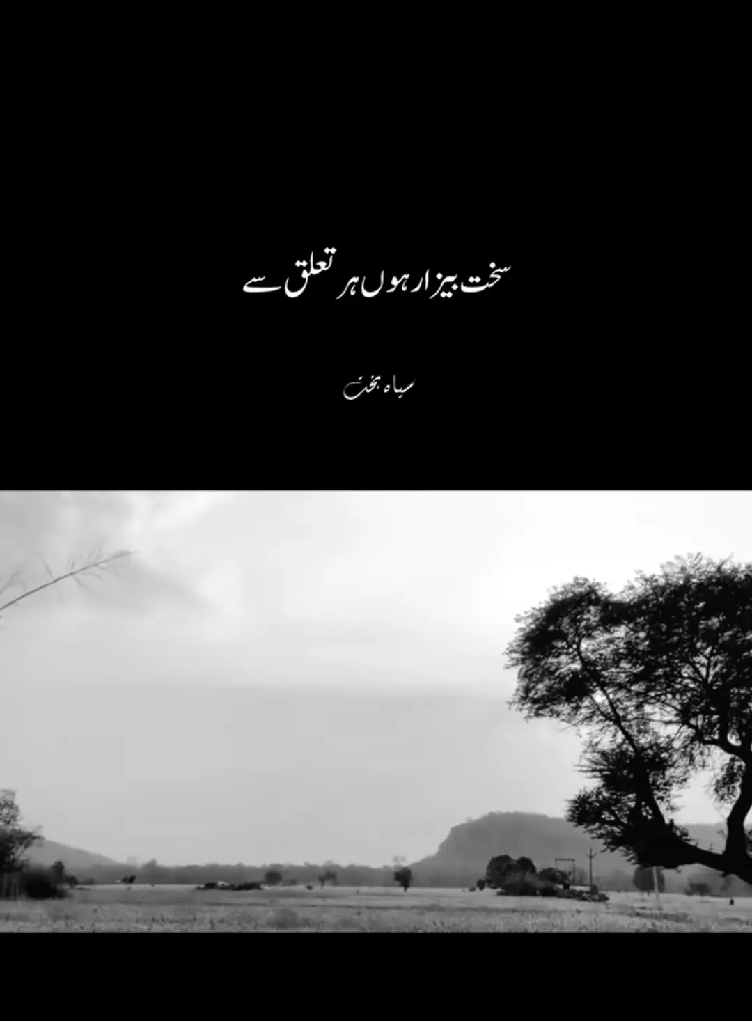 درد آنکھوں میں لیے ہی سو جاتے ہیں: اب ہم خود سے کوئی سوال نہیں کرتے کہ گزر ہی جاتی ہے ان کی بھی زندگی جو کسی سے بیاں دل کا حال نہیں کرتے, 🥺✨🖤