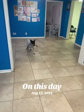 #onthisday 