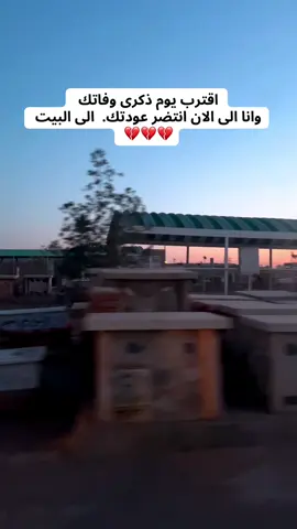 2024/9/19 يبقى تاريخ وفاتك لم لا ينسى💔