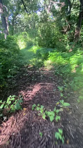 AKA MY YARD also I have a trampoline, teepee, and treehouse :D #therian #quads #therianthropy #nature #forest 