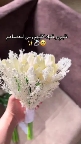 مسكة العروس حسب الطلب❤️❤️ #اكسبلور #algeria #مسكة_عروس #مسكات_عرايس 
