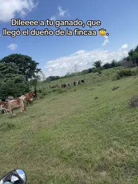 Así de fácil 🙂‍↕️.#diomedesdiaz #videoviral#tiktokviral  #agropecuario #seguidores 