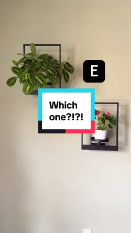 Replying to @chelsea | SAHM & TT finds HELP ME!! WHICH PLANTS SHOULD GO ON THIS!!????! #PlantTok #plantlover #indoorplantsdecor #homedecorideas #pickone 