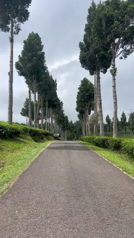 Syahduu 🥰🍃  #Rancabaliciwidey #bandung  #jawabarat 
