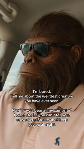 Tell me your wildest cryptid story- I promise we won't judge!  #imbored #cryptid #storytime 
