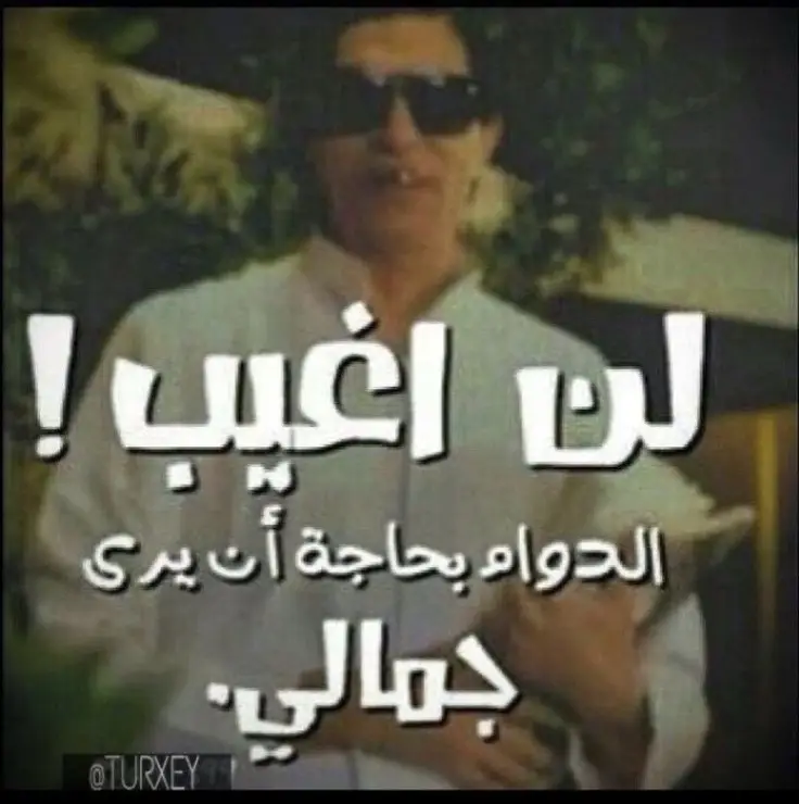 حقوق أبيس باينت