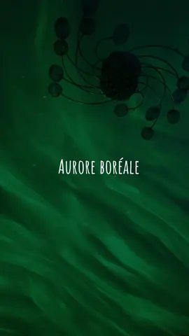 J’aime trop l’effet que ça donne 🥰 #fyp #pourtoi #tiktokshopfrance #offrespourtoi #auroreboreale 