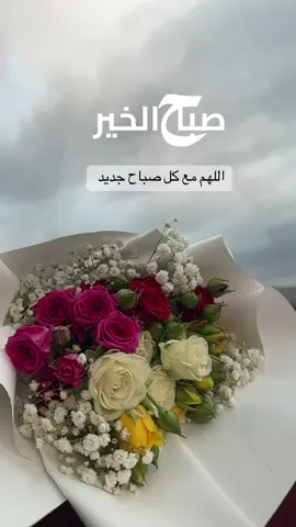 #صباحكم_سعادة_وعافية_وراحه_بال🌷🍃 