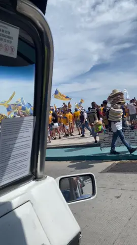 Aficionados y porra del equipo de fútbol Club Tigres de la UANL se concentró hace unos momentos en el paradero de la letras de Mazatlán, comentan que intervinieron elementos de Seguridad Pública debido a que empezaron alterar el orden. Hoy el equipo de Nuevo León se enfrentará a Mazatlán FC en el estadio El Encanto.⚽️⚽️ #futbol #tigres #turismo #vacaciones #Soccer 