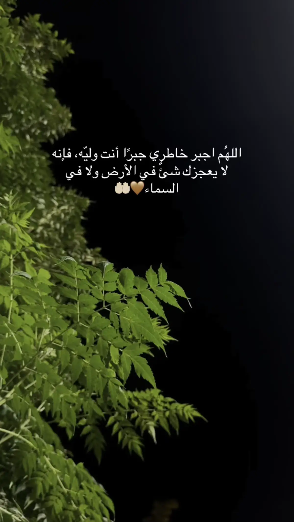 #اللهم_امين #یارب_العالمیــــــــــن🤲🏻🥺 