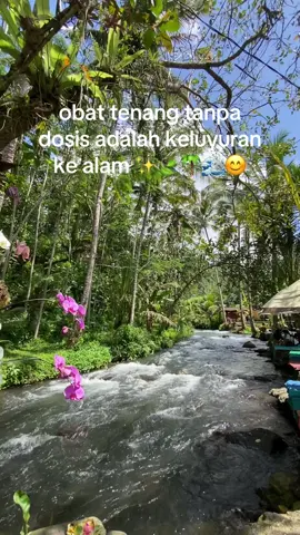 ejoy your pica-pica sayange 🏕️🌴🍃✨🌊 Telaga Surya 🌊☀️ 📍 : Lokasi Br. Tegenan, Menanga, Rendang, Karangasem, Bali ⏱️ : Buka setiap hari pukul 09.00-17.00 💵 : Harga tiket masuk 15k dewasa 5k anak-anak 🛖 : Glamping 200k ⛺️ : Camp Sewa Tenda 150k 🏕️ : Camp Bawa Sendiri Tenda 75k ⚠️ : Camp hanya dibuka sore sampai pagi  💬 : WA +62857 1111 6309 untuk booking 🔗 : Link maps ada di bio  #telagasurya #destinasiwisatadibali #wisataalam #promoseruweekend #rekomendasiwisatadibali 