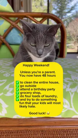 How's your weekend? 😹😹 #catsoftiktok 