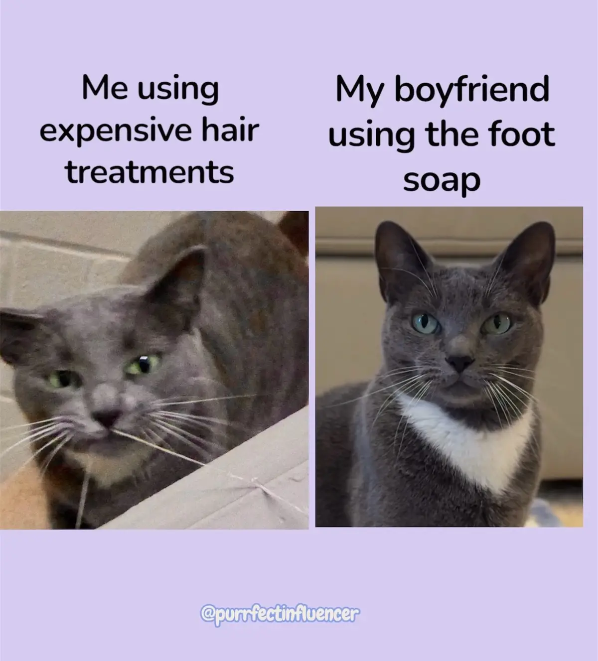 This is so unfair 😹😹 #catmemes 