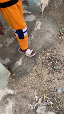 Me encontre a Naruto. 🤣😭 #naruto #narutoshippuden #narutouzumaki #otaku #anime 