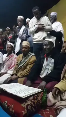 ኑውሪል ዓጃኢባ ,, ﷺ🥺💚 መገን ጊዜ ,,, መውውውሊድ  #ሸይኽመኪ #አብሬትመንዙማ #menzuma #vira #fypシ゚ 